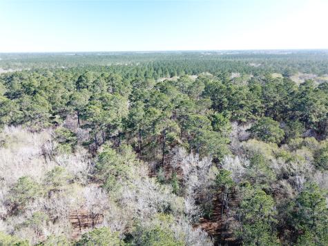 00 Corrigan Road Vidor TX 77662