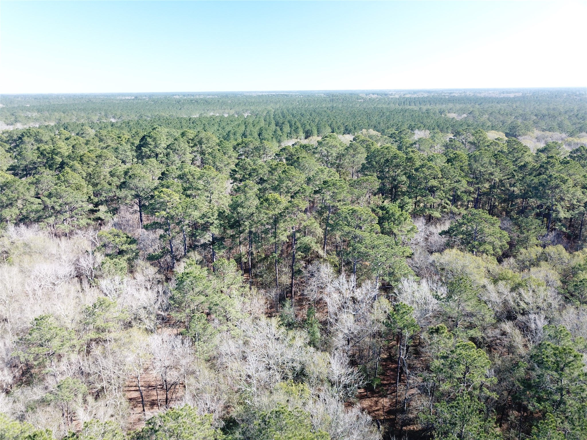 00 Corrigan Road Vidor TX 77662