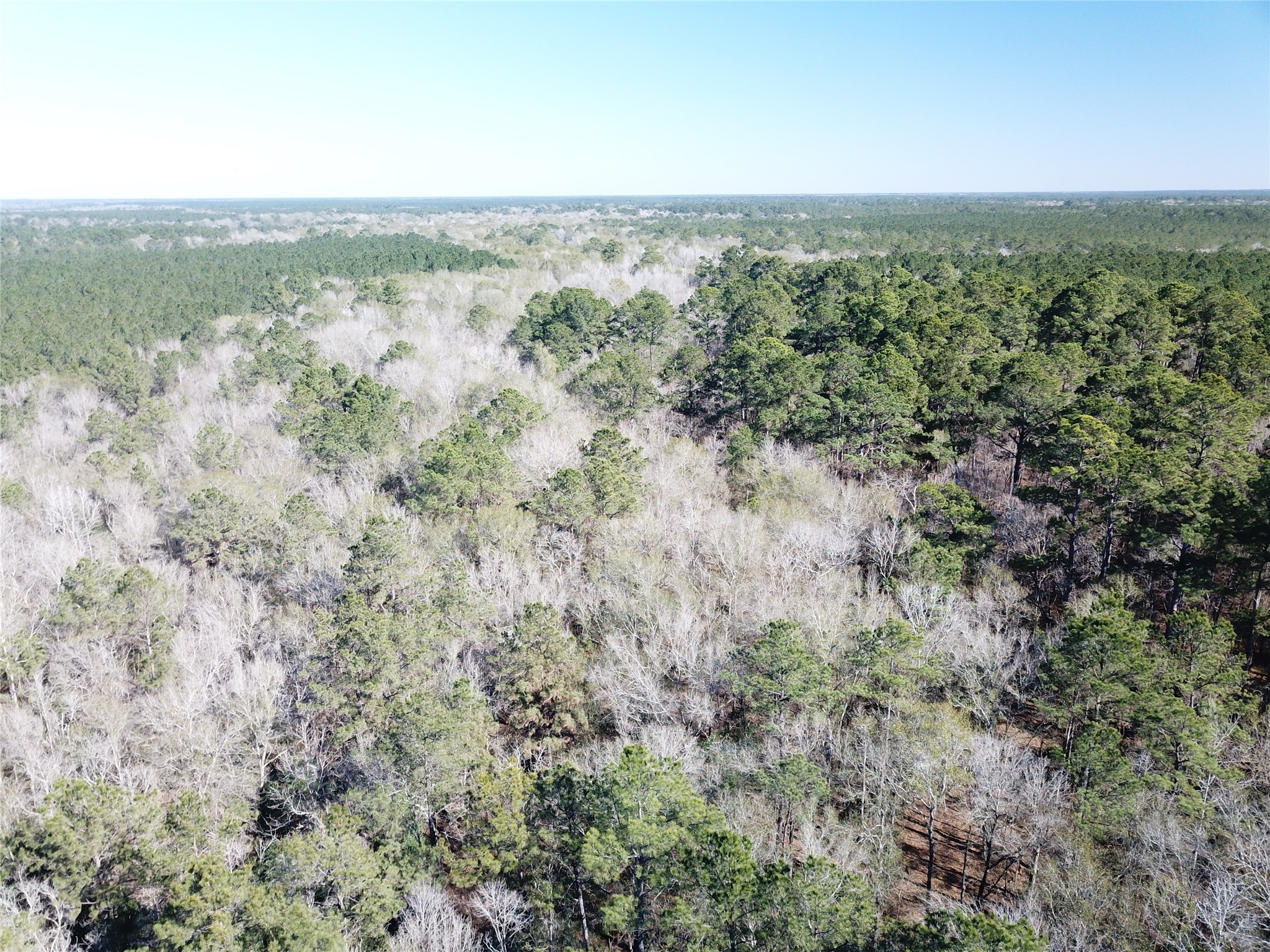 00 Corrigan Road Vidor TX 77662