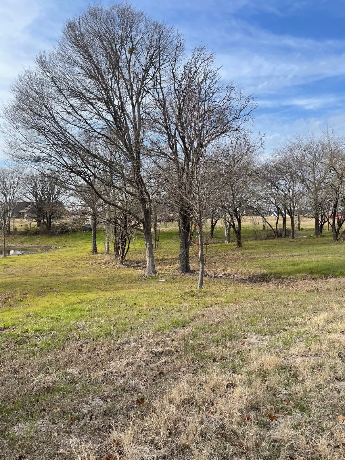 5455 Saddle Ridge Court Athens TX 75752