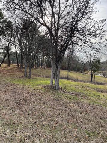 5455 Saddle Ridge Court Athens TX 75752