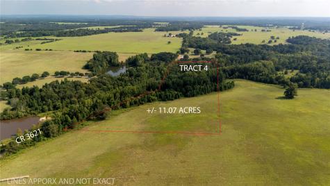 Lot 4 Tx-31 Brownsboro TX 75756