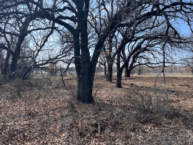 150 Ac Highway 16 Loving TX 76460