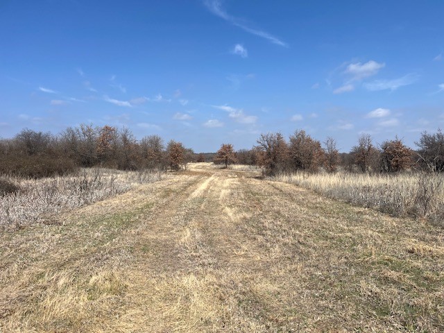 150 Ac Highway 16 Loving TX 76460