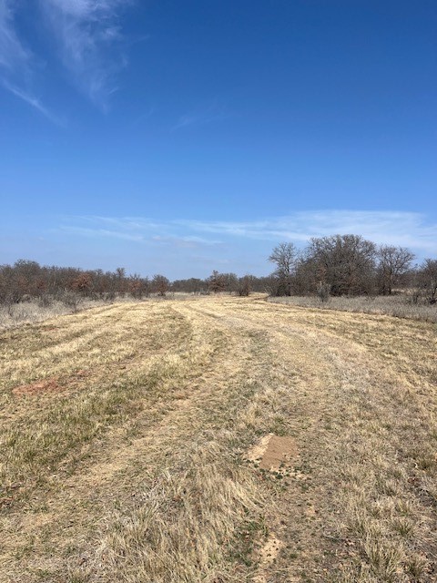 150 Ac Highway 16 Loving TX 76460