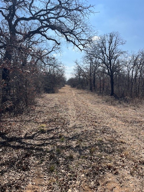 150 Ac Highway 16 Loving TX 76460
