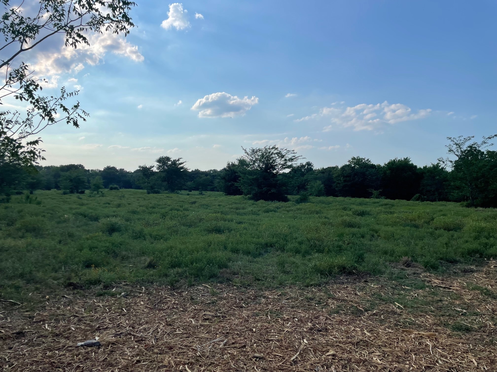 4005 County Road 2825 Honey Grove TX 75446