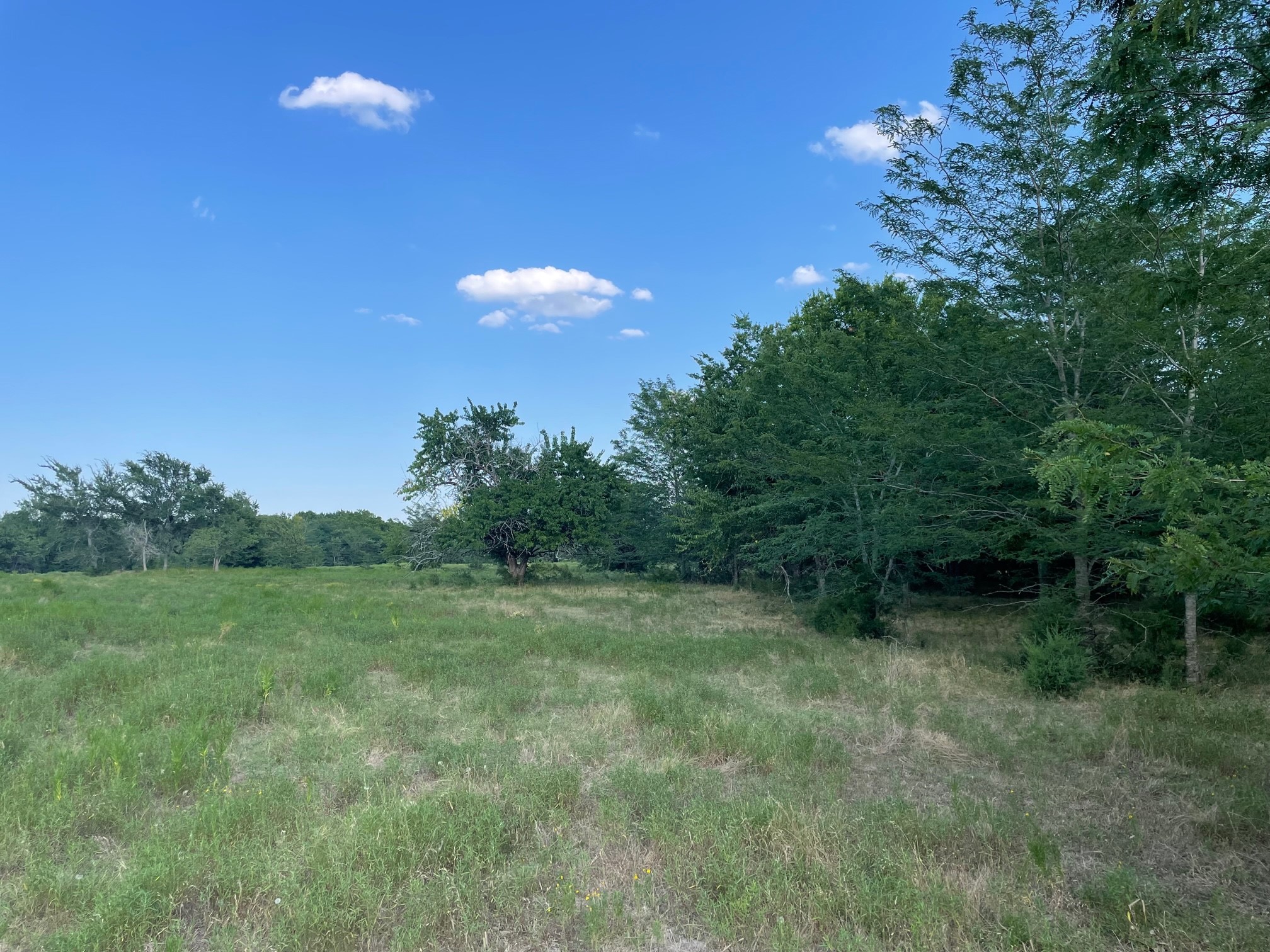 4005 County Road 2825 Honey Grove TX 75446