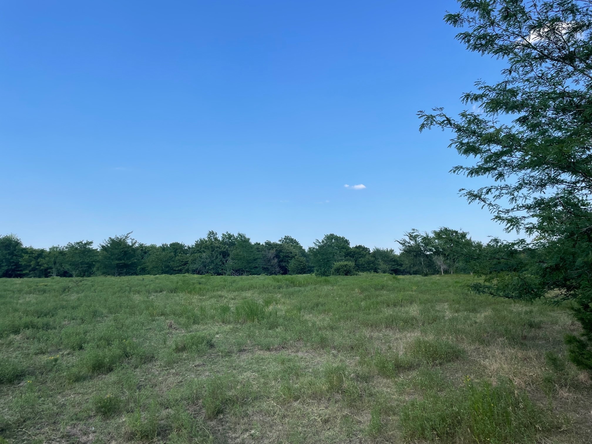 4005 County Road 2825 Honey Grove TX 75446
