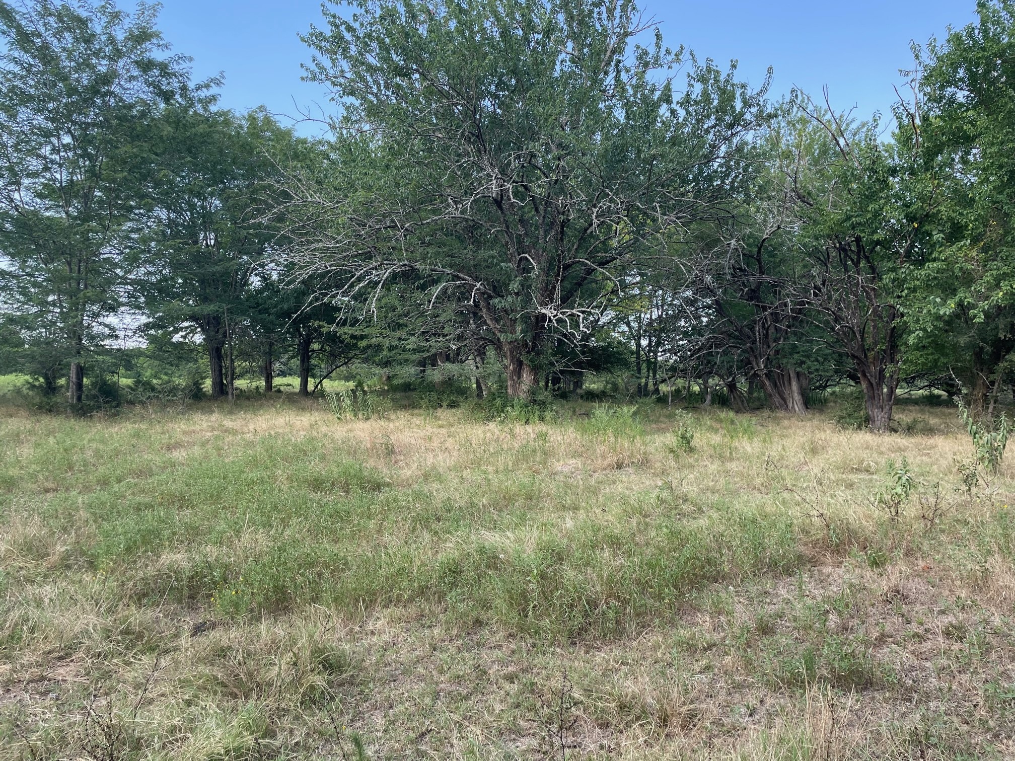 4005 County Road 2825 Honey Grove TX 75446