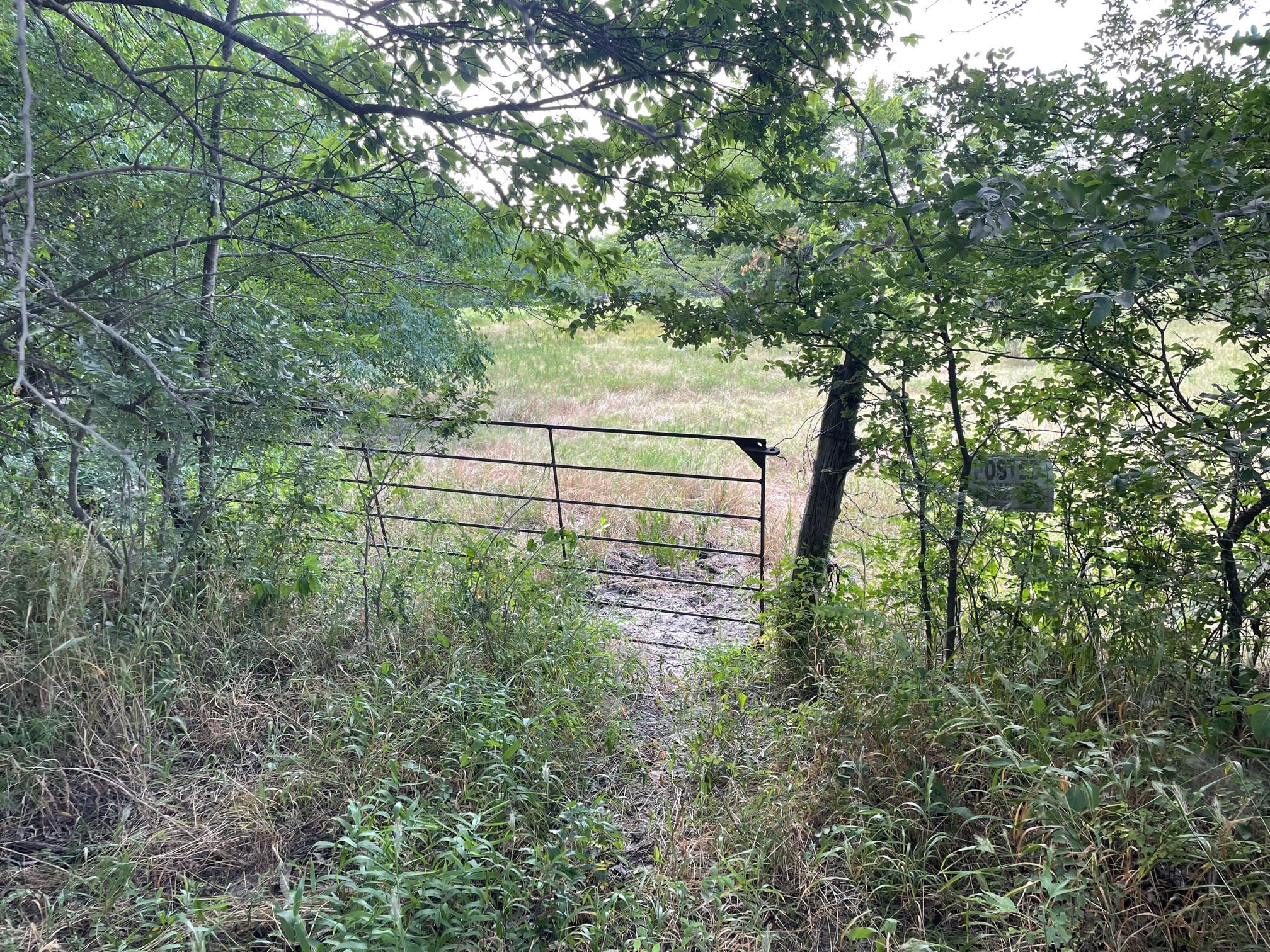 4005 County Road 2825 Honey Grove TX 75446