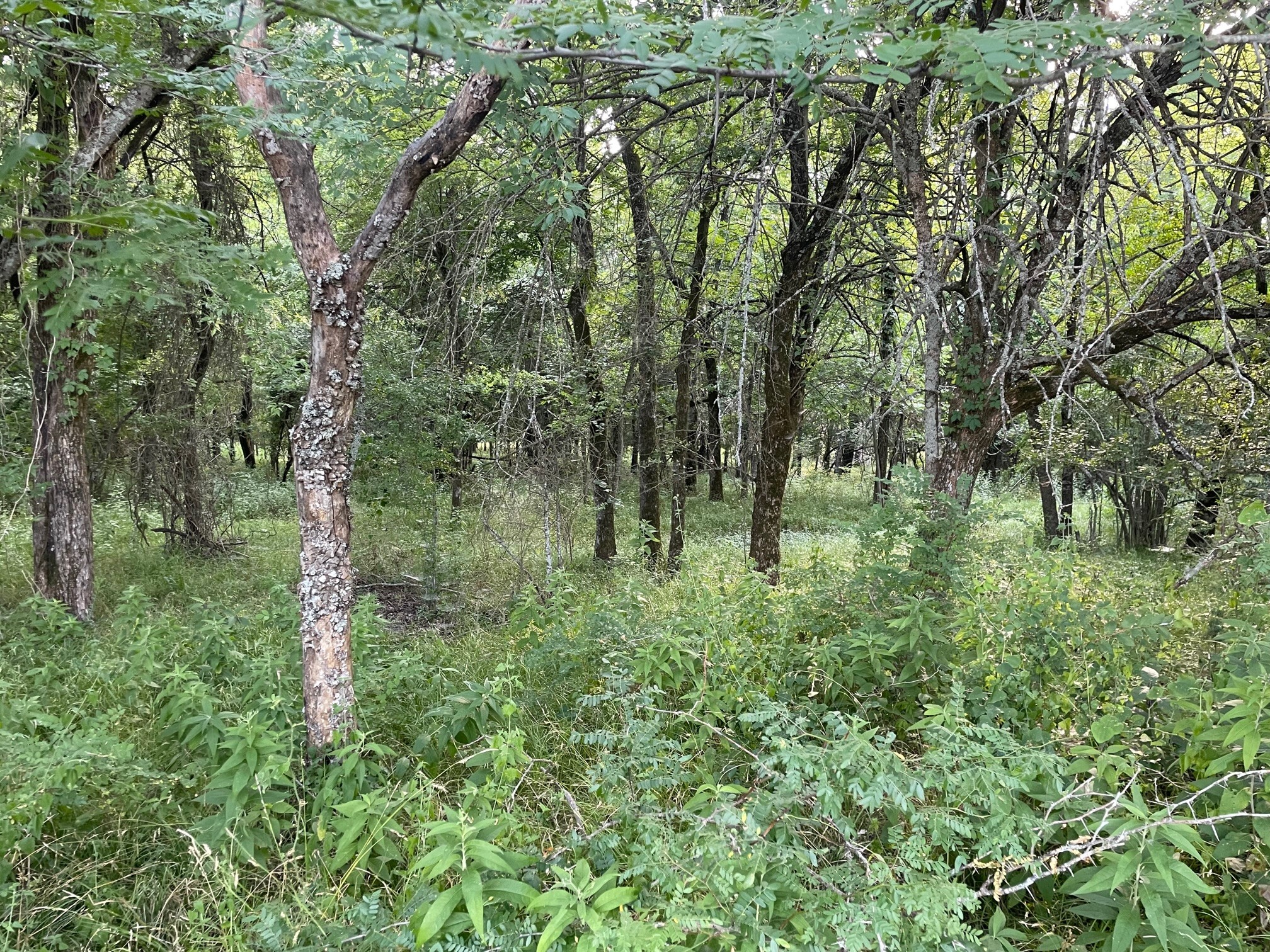 4005 County Road 2825 Honey Grove TX 75446