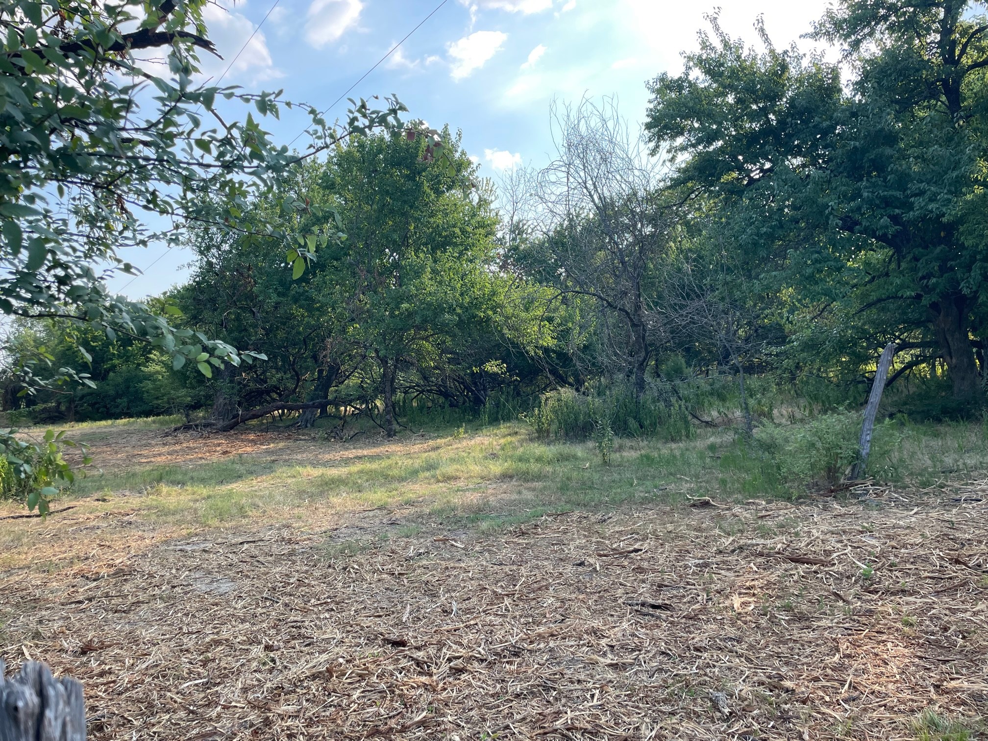 4005 County Road 2825 Honey Grove TX 75446