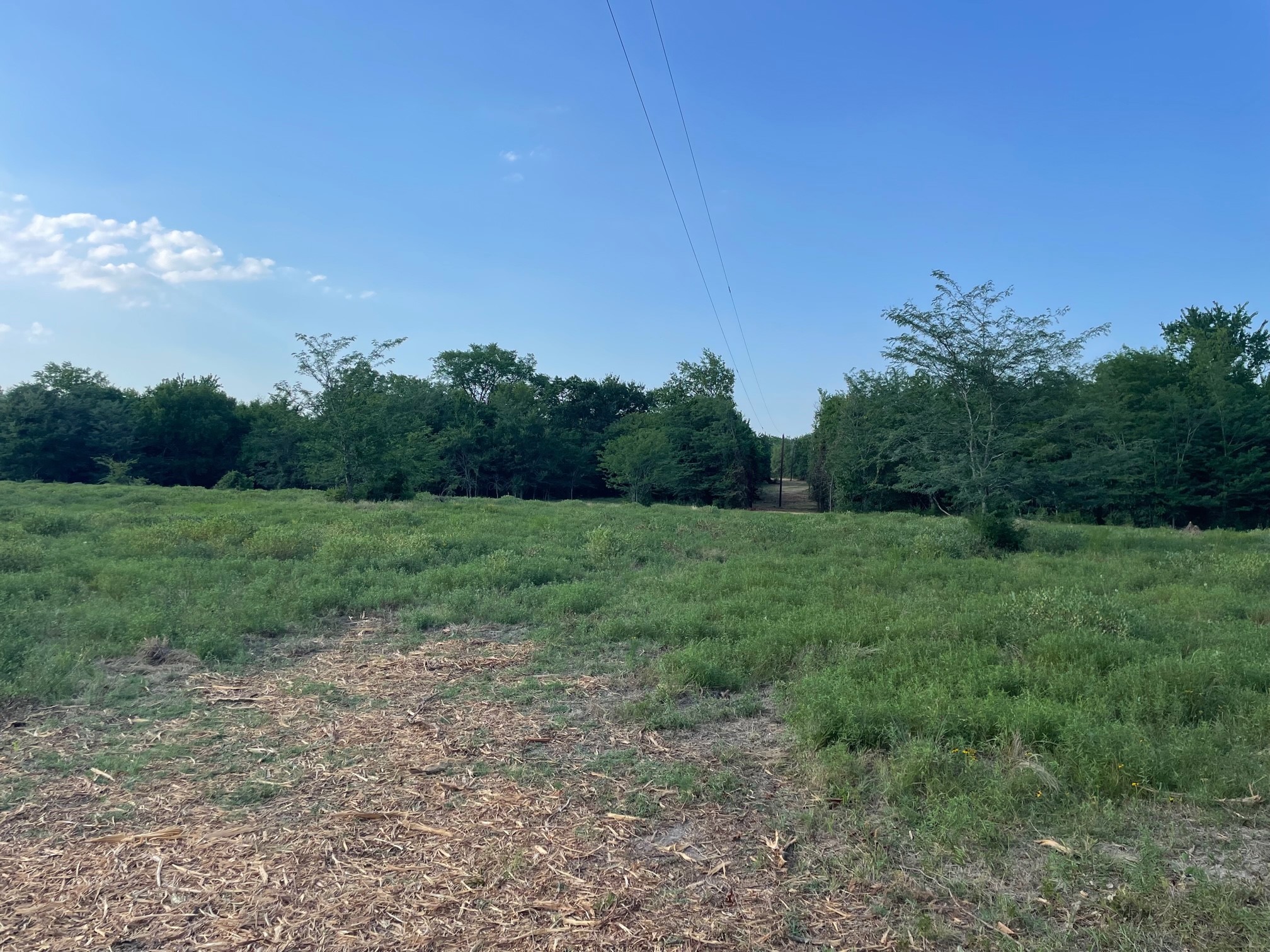 4005 County Road 2825 Honey Grove TX 75446