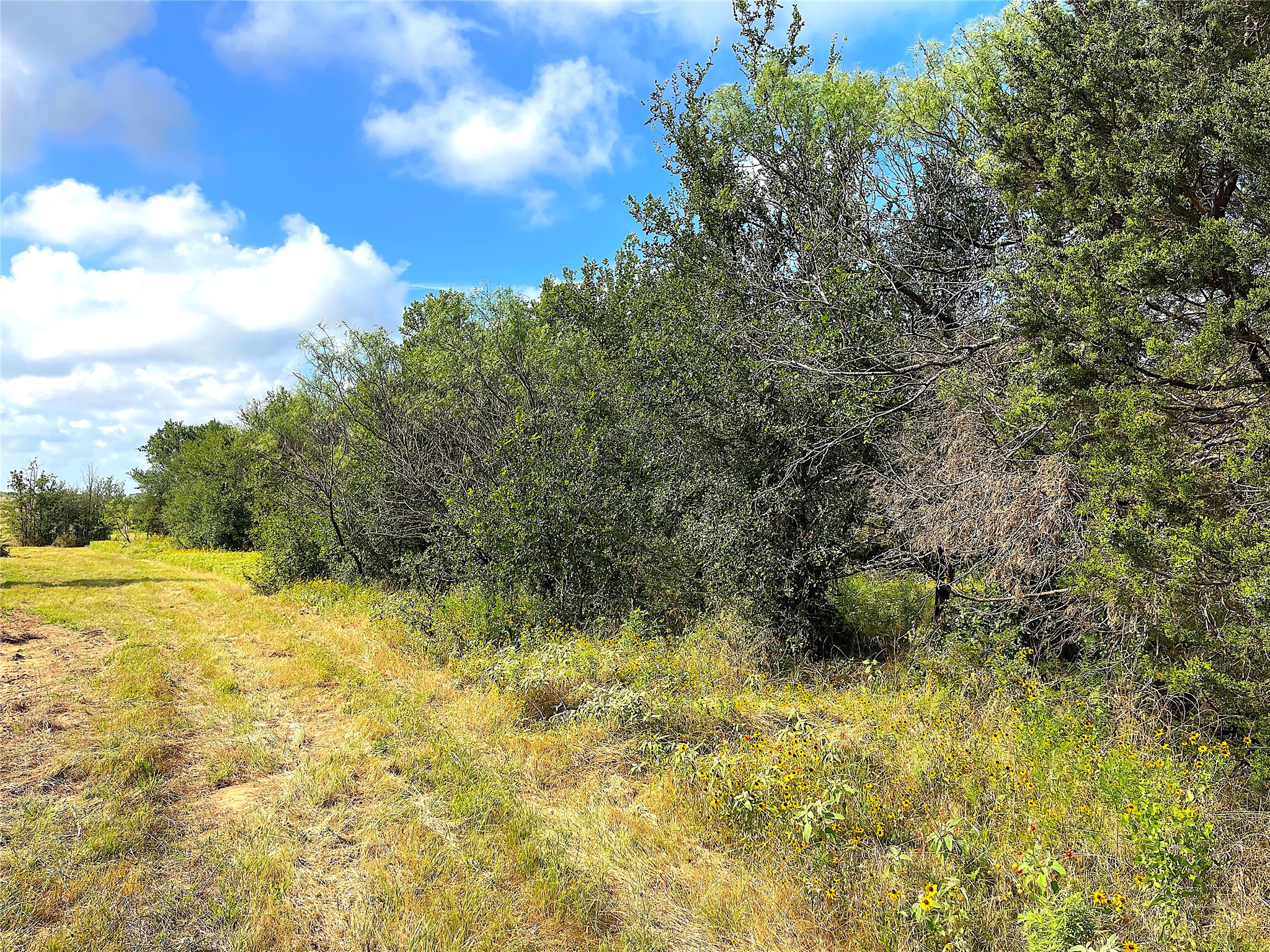 11020 Highway 281 Whitt TX 76490