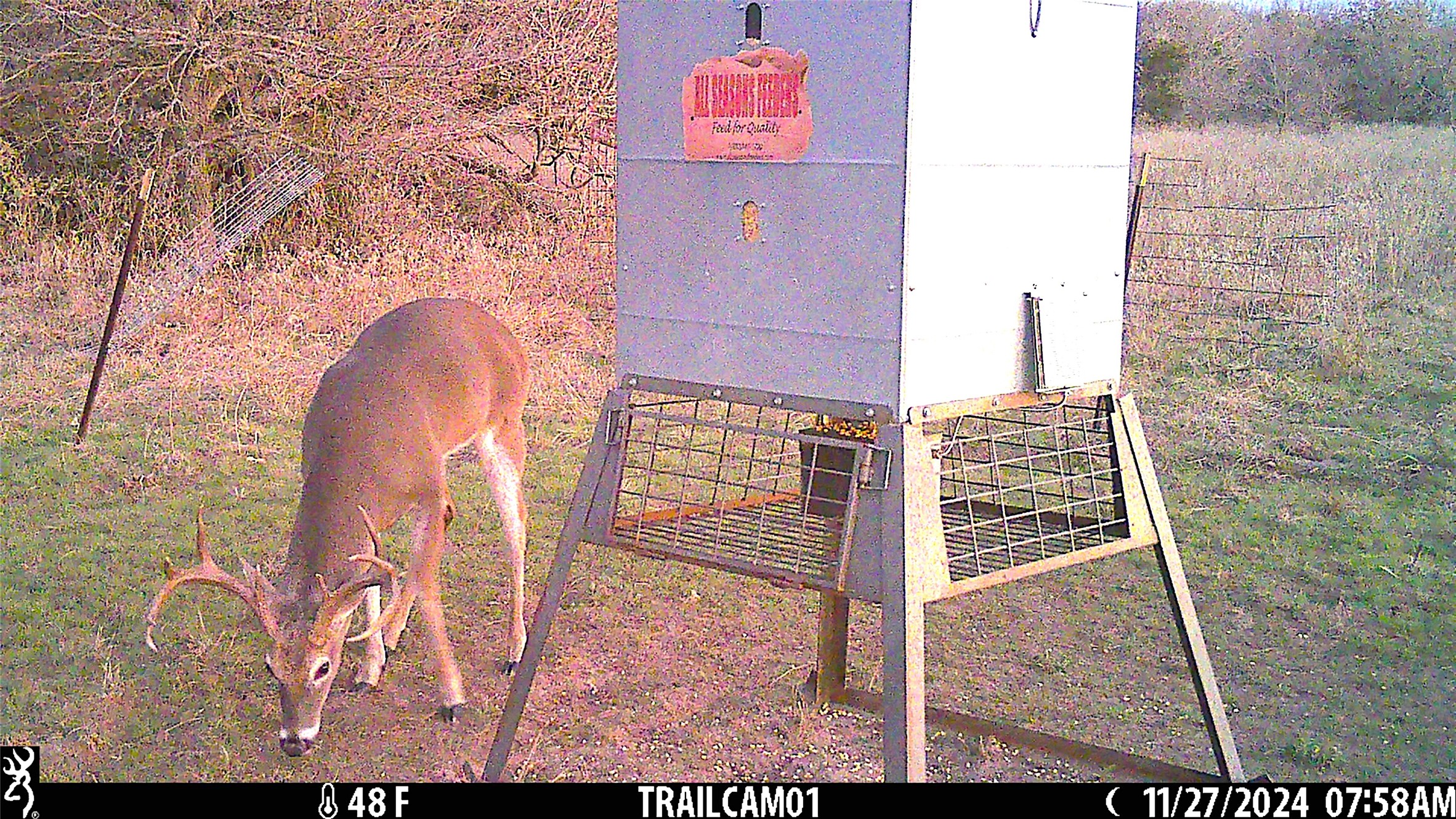 11020 Highway 281 Whitt TX 76490