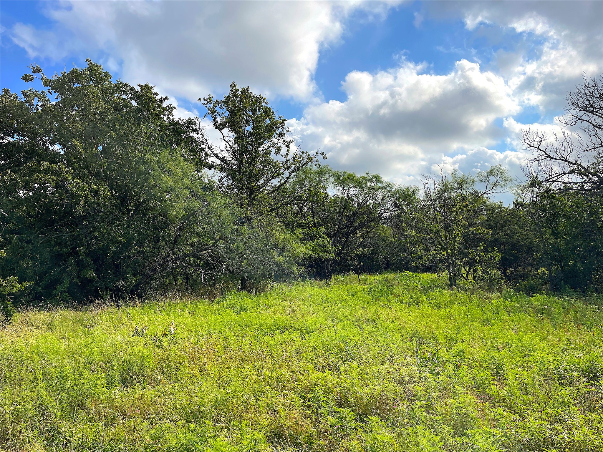 11020 Highway 281 Whitt TX 76490