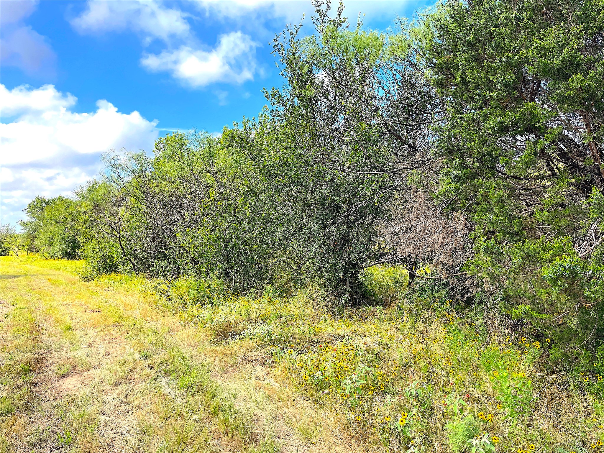 11020 Highway 281 Whitt TX 76490