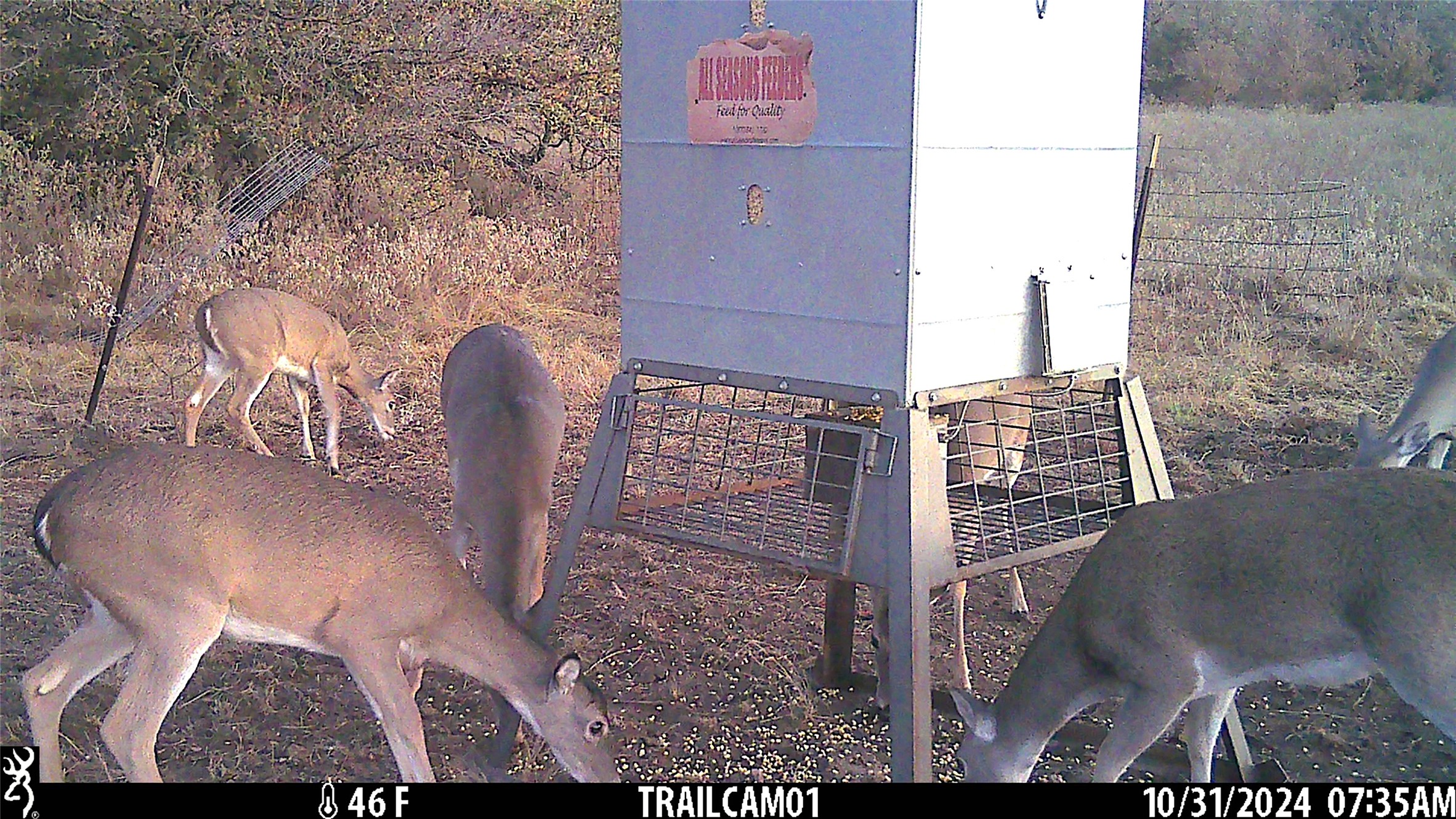 11020 Highway 281 Whitt TX 76490