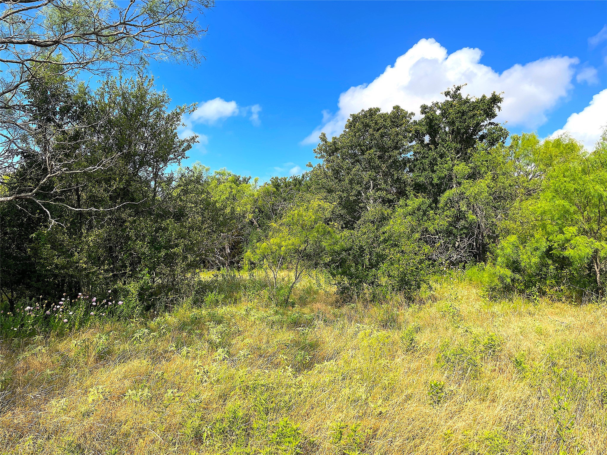 11020 Highway 281 Whitt TX 76490