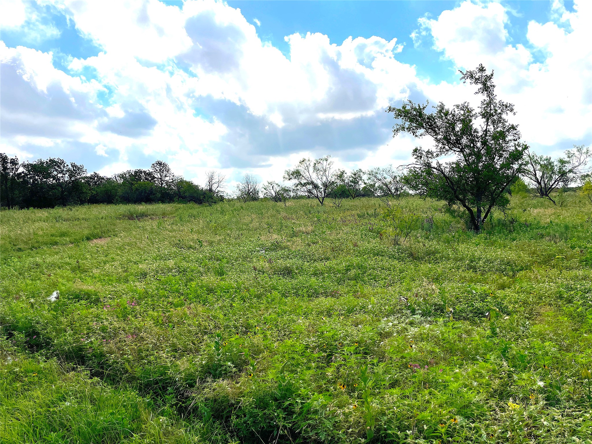 11020 Highway 281 Whitt TX 76490