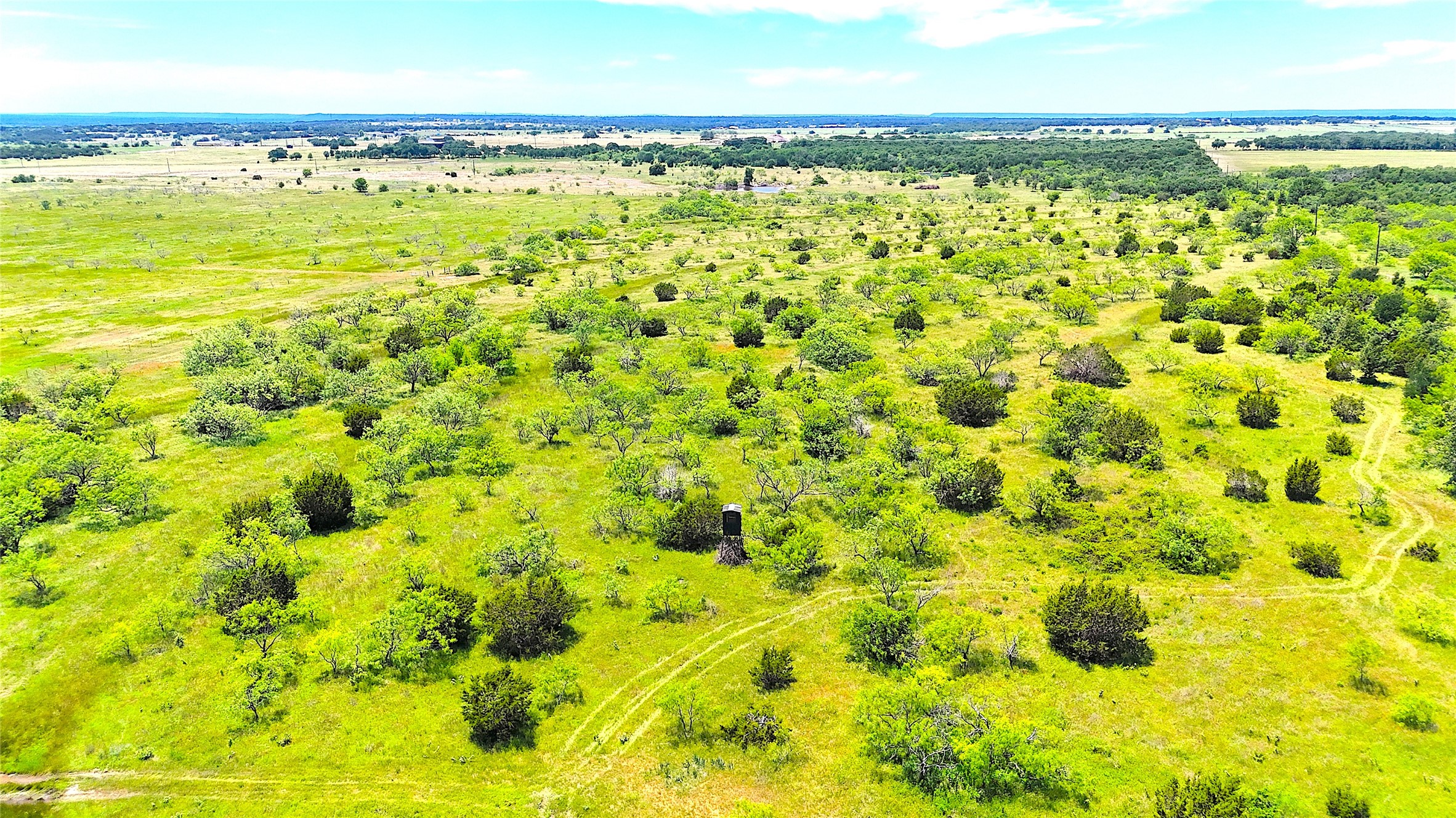 11020 Highway 281 Whitt TX 76490