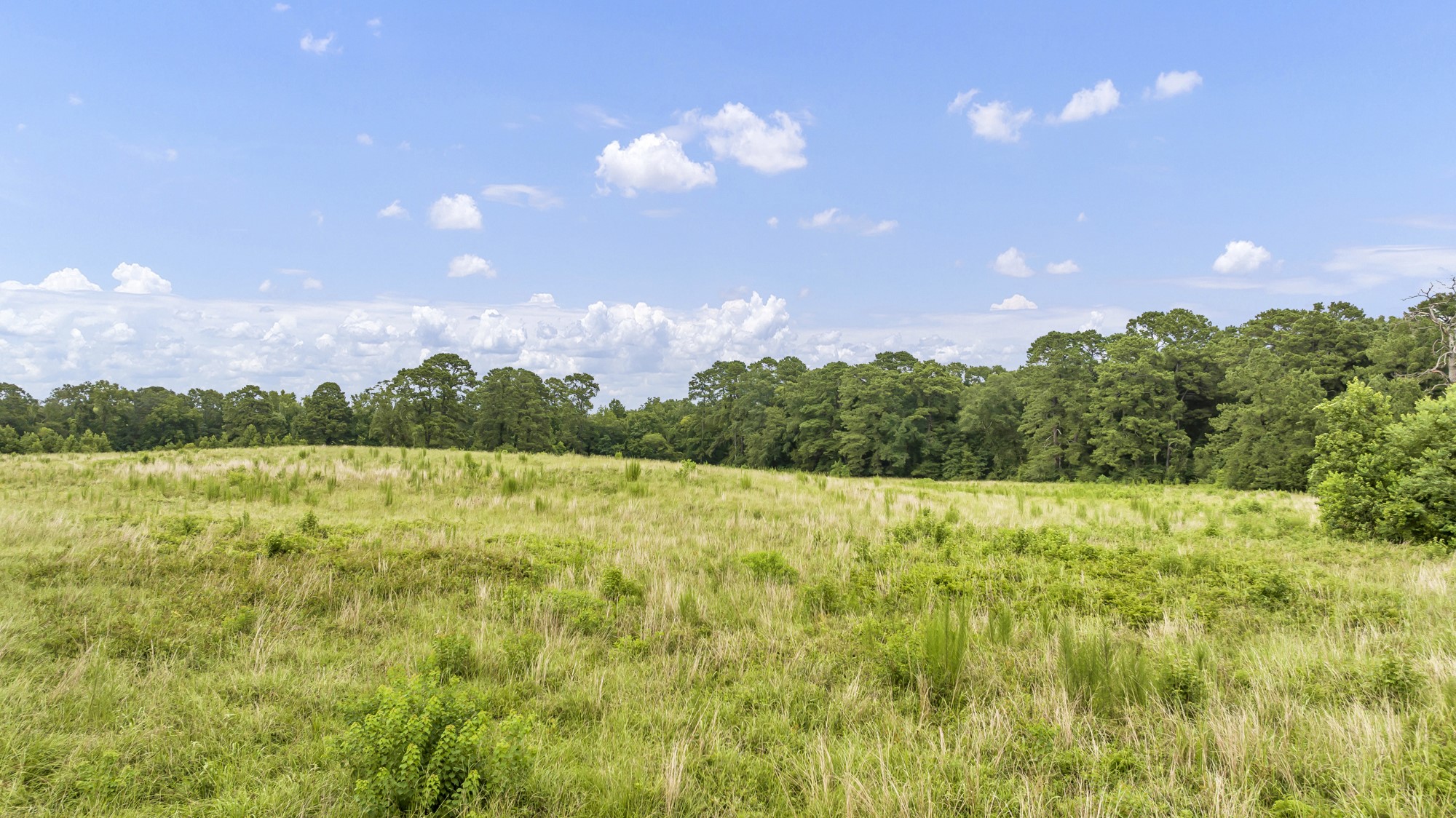 Tbd County Road 435 No City TX 75974