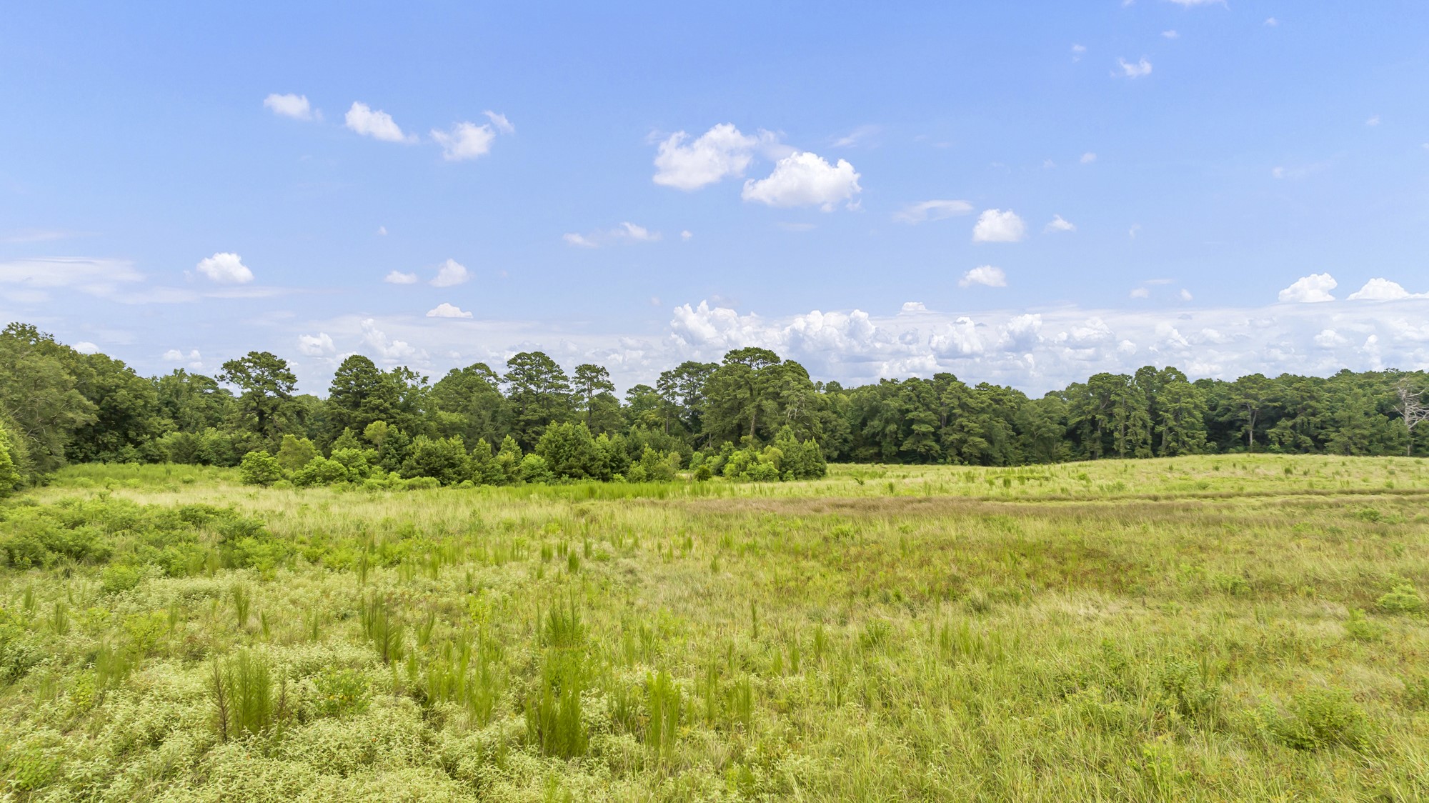 Tbd County Road 435 No City TX 75974