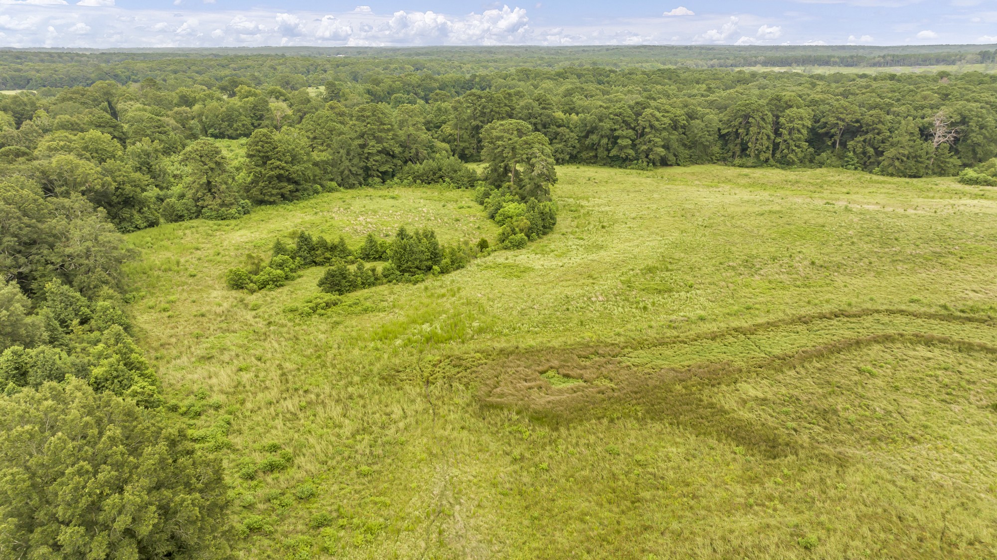 Tbd County Road 435 No City TX 75974
