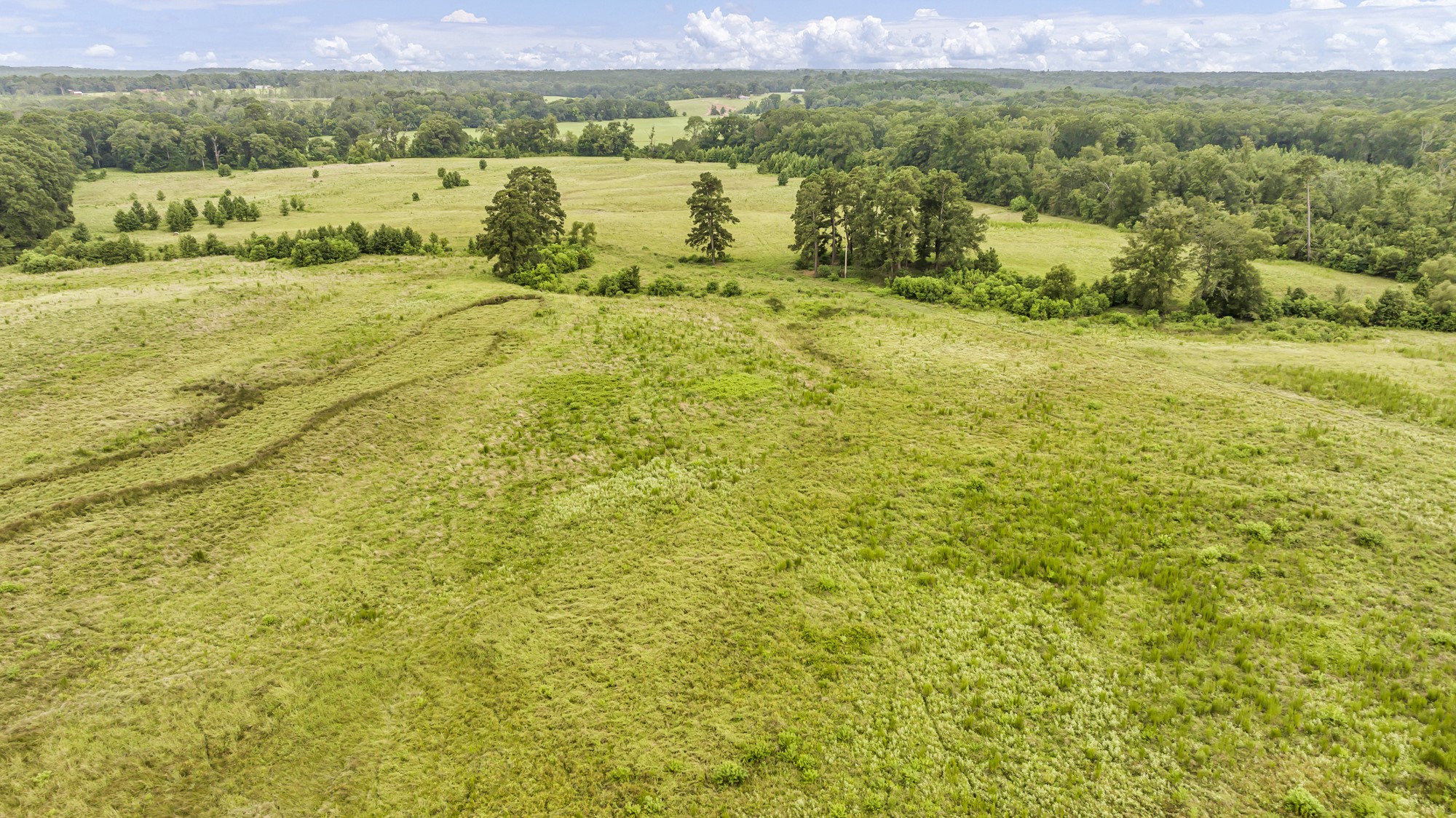Tbd County Road 435 No City TX 75974
