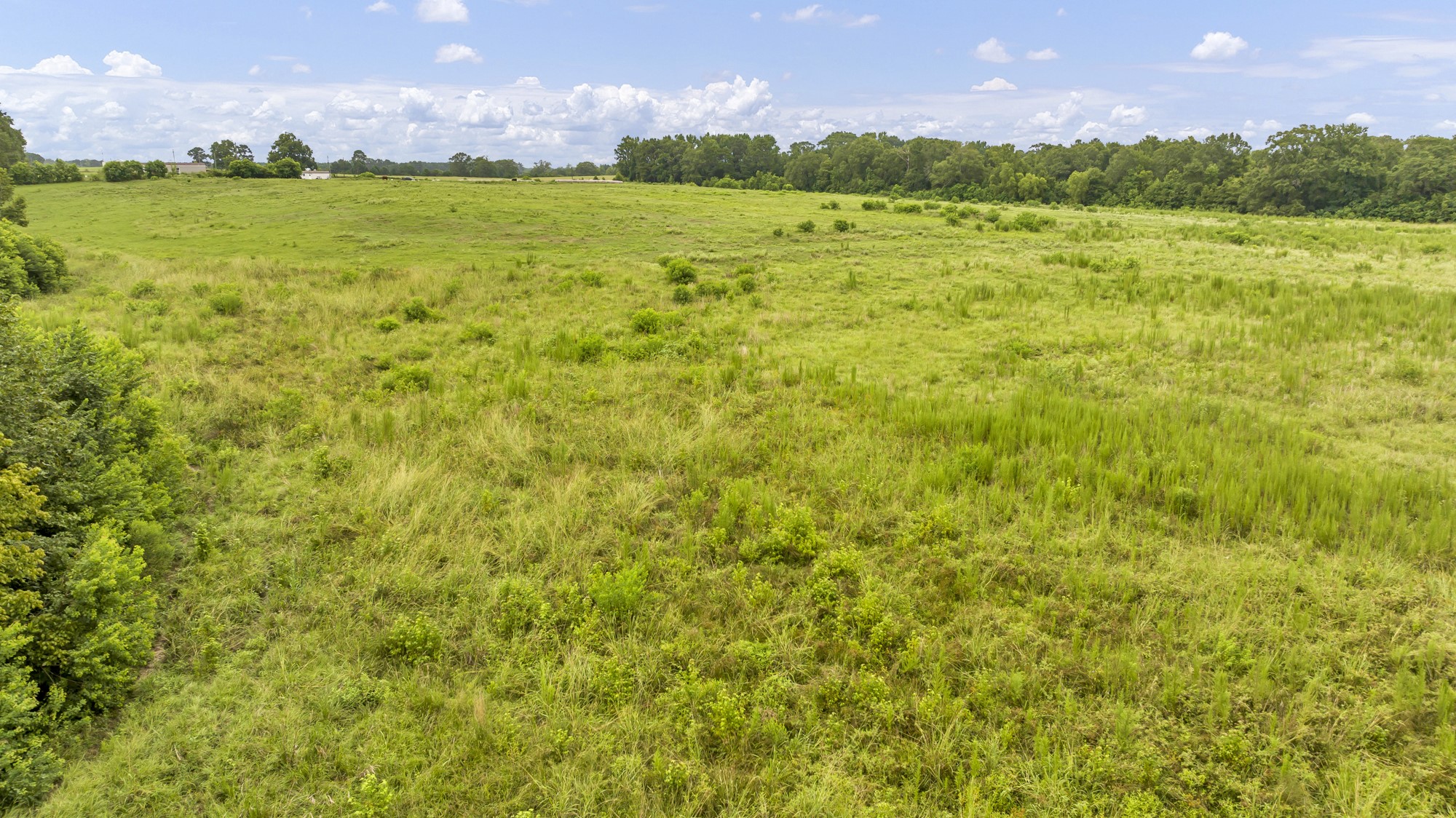 Tbd County Road 435 No City TX 75974