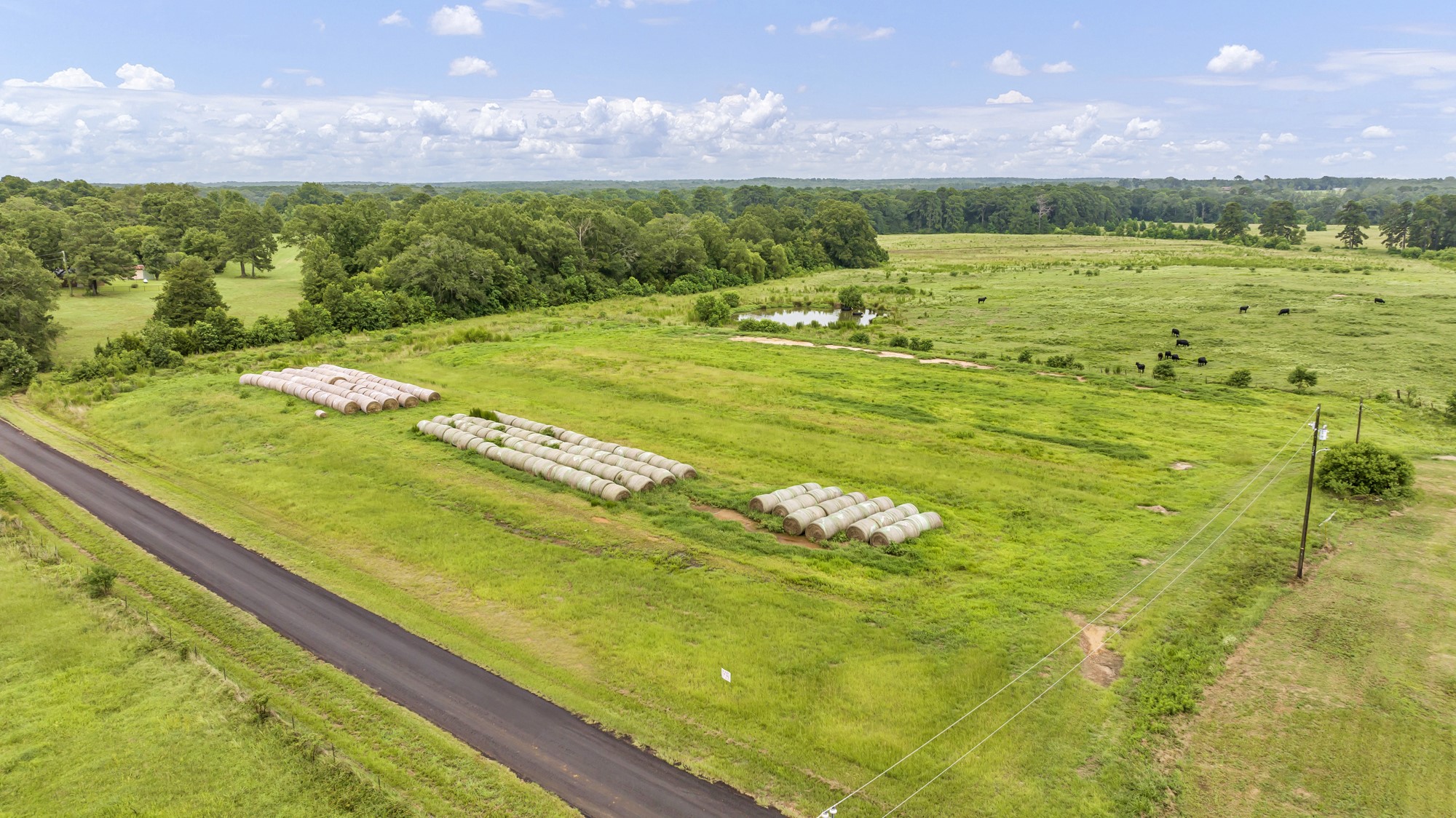 Tbd County Road 435 No City TX 75974