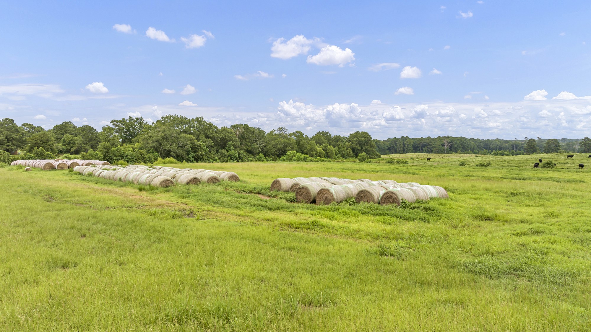 Tbd County Road 435 No City TX 75974