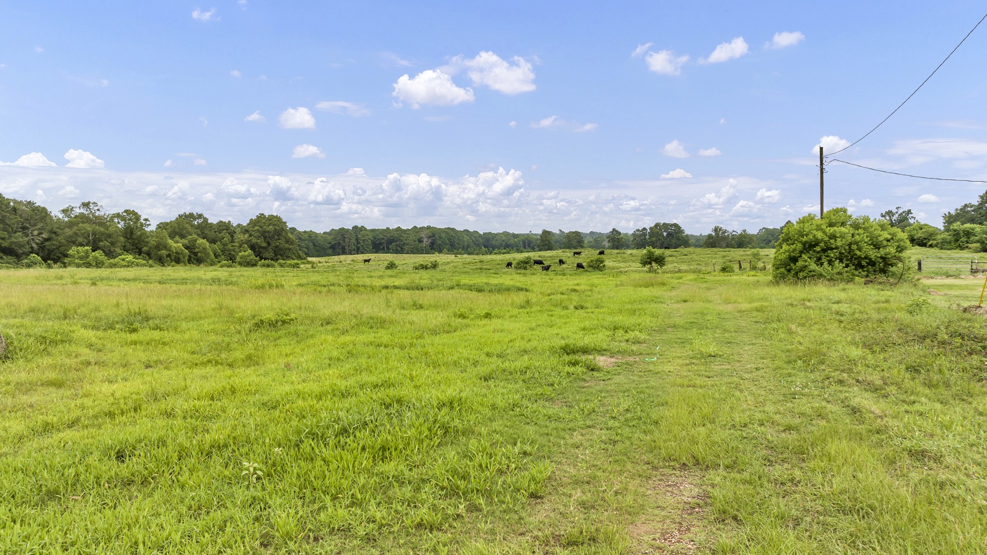 Tbd County Road 435 No City TX 75974