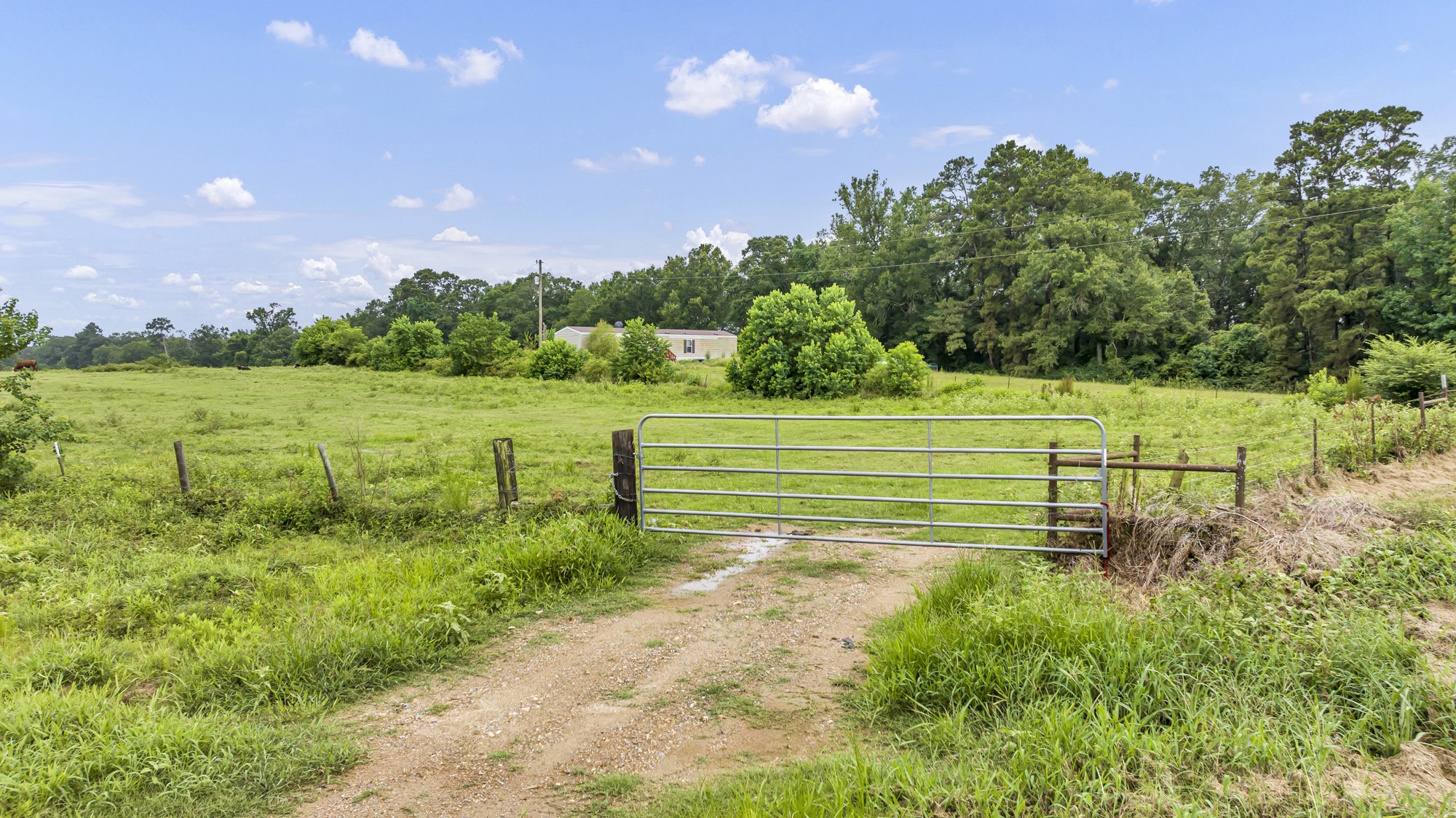 Tbd County Road 435 No City TX 75974