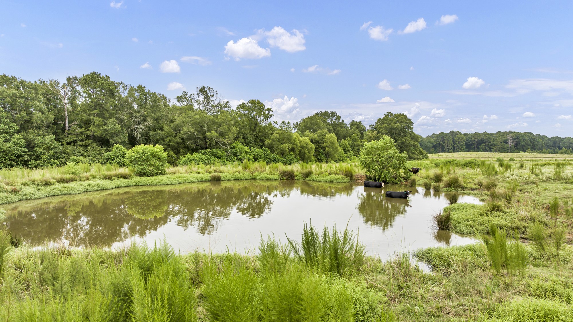 Tbd County Road 435 No City TX 75974