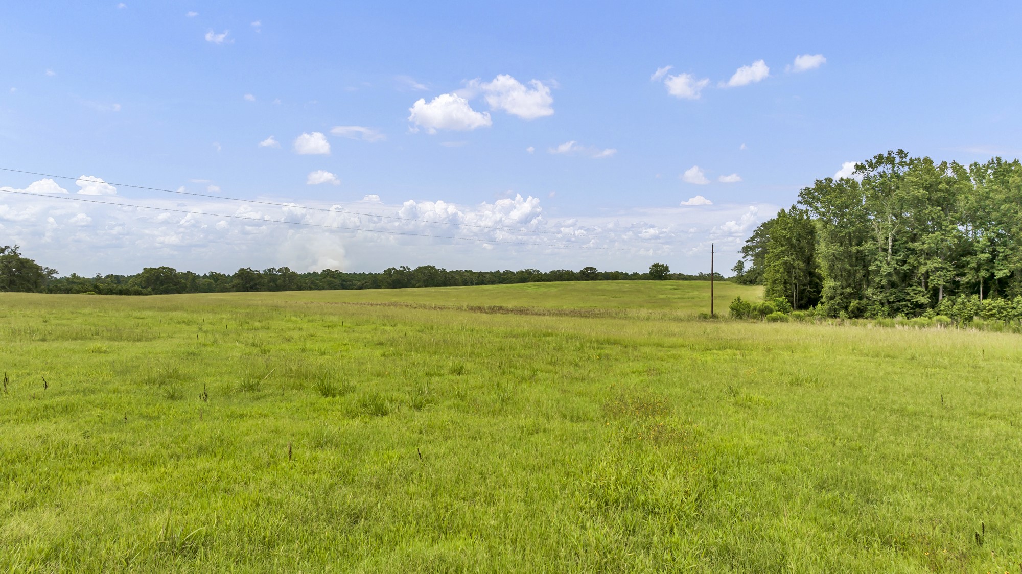 Tbd County Road 435 No City TX 75974