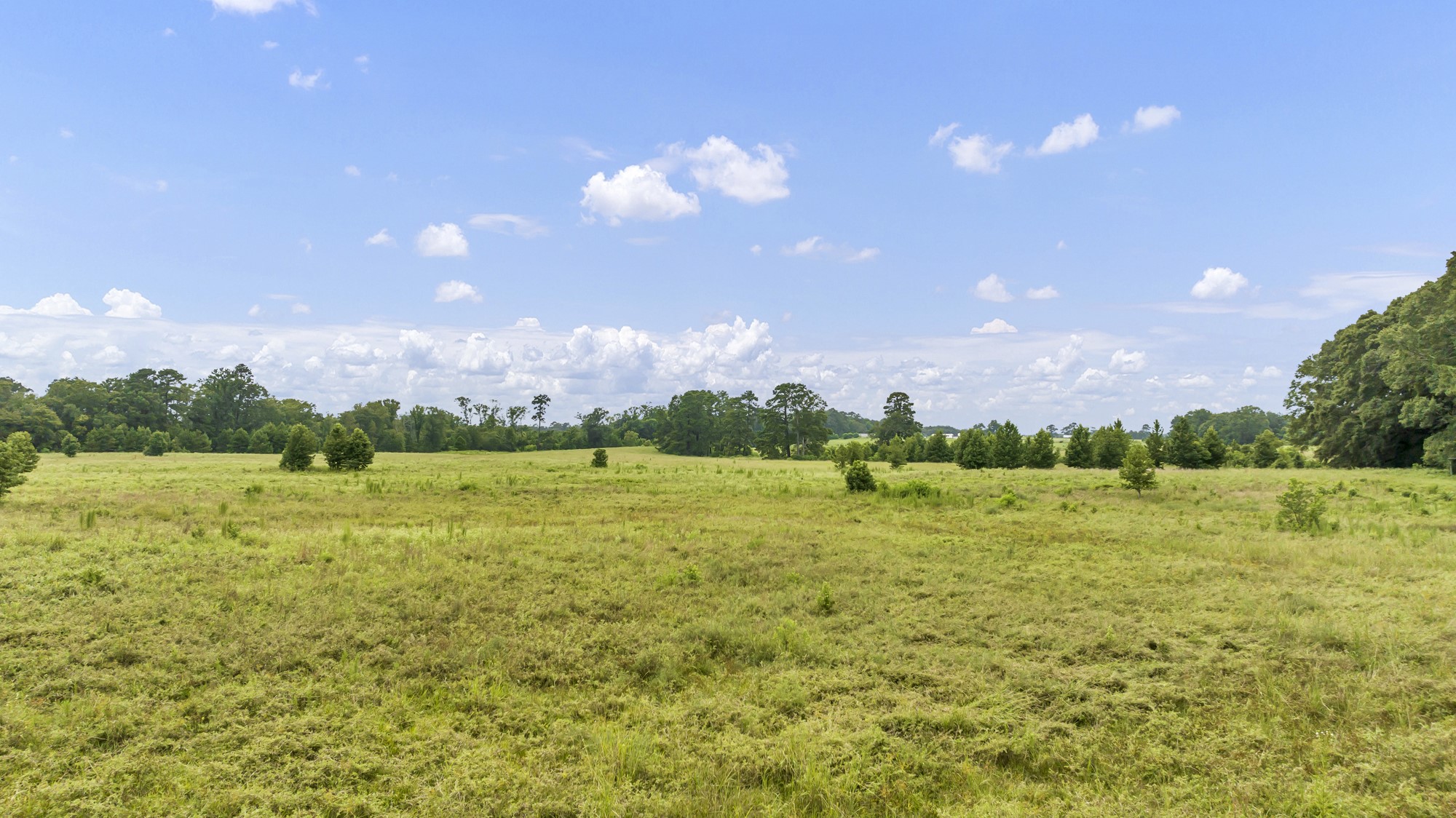 Tbd County Road 435 No City TX 75974