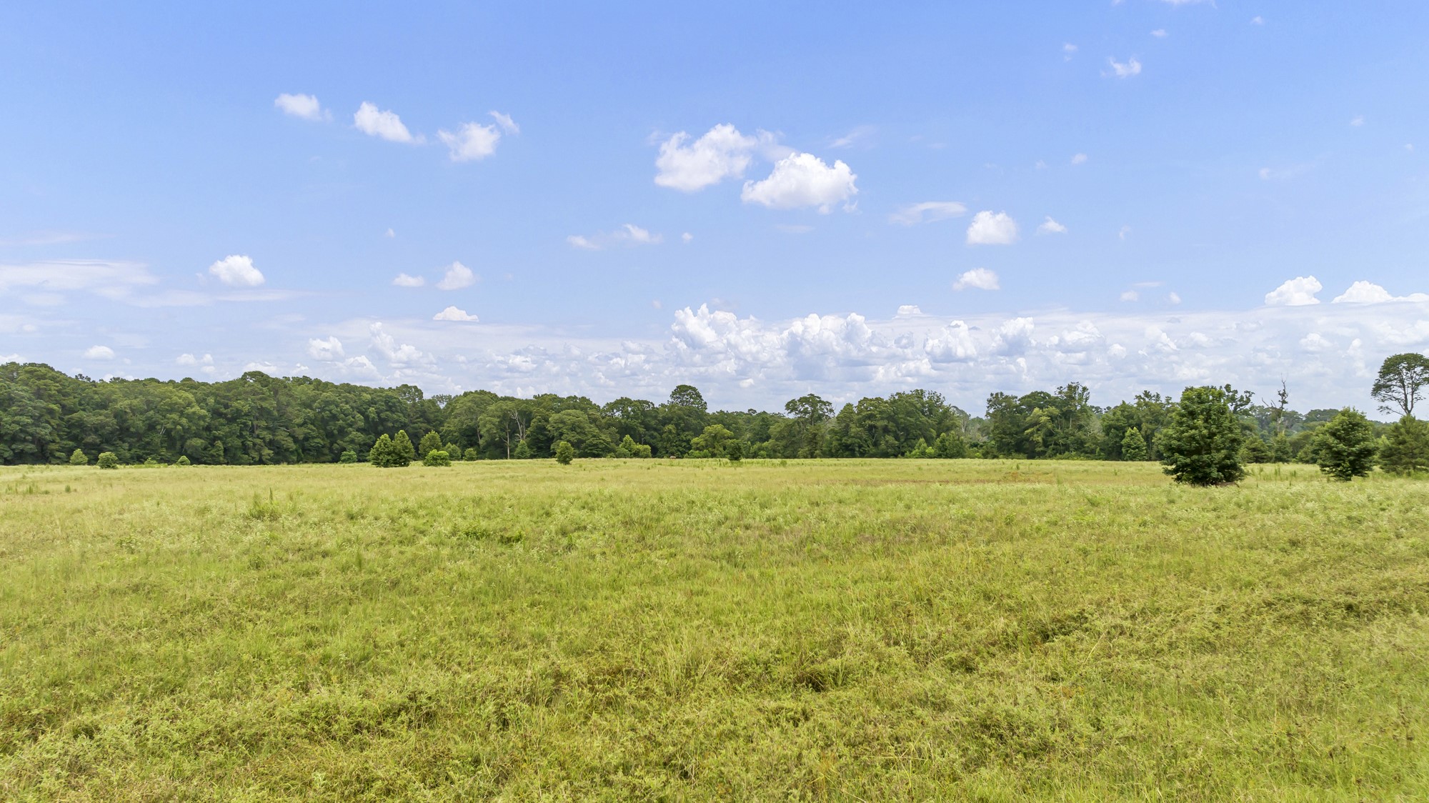 Tbd County Road 435 No City TX 75974