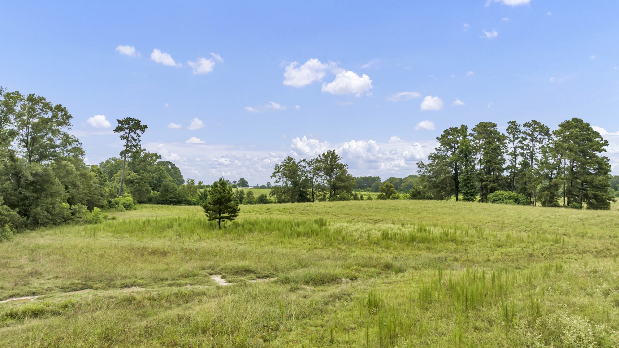 Tbd County Road 435 No City TX 75974