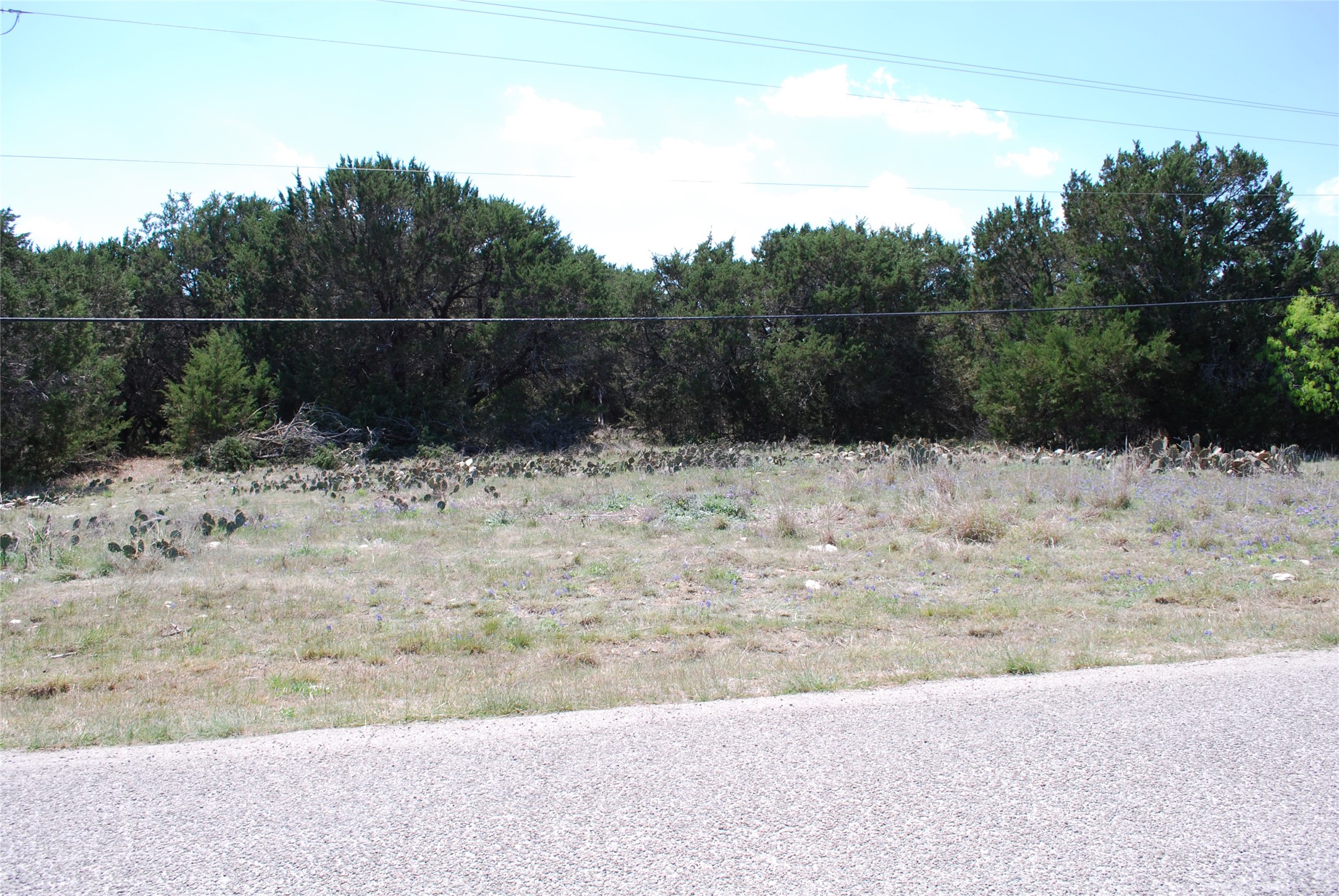 19016 Bluebonnet Drive Whitney TX 76692