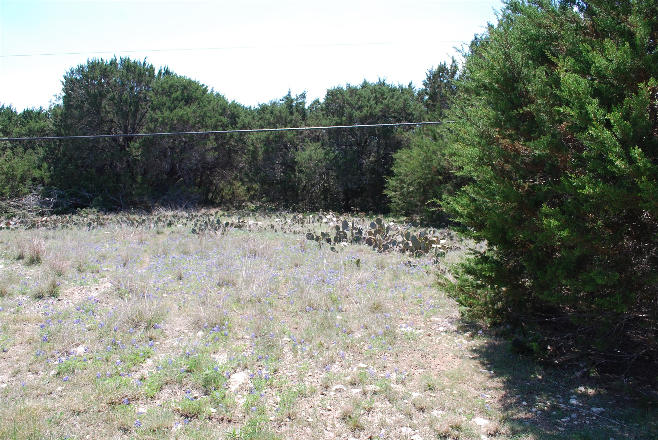 19016 Bluebonnet Drive Whitney TX 76692