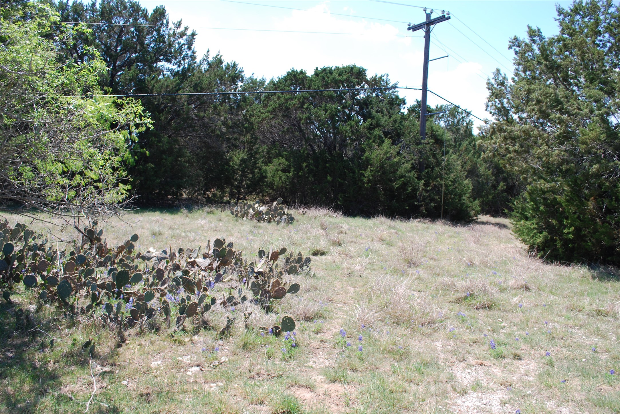 19016 Bluebonnet Drive Whitney TX 76692