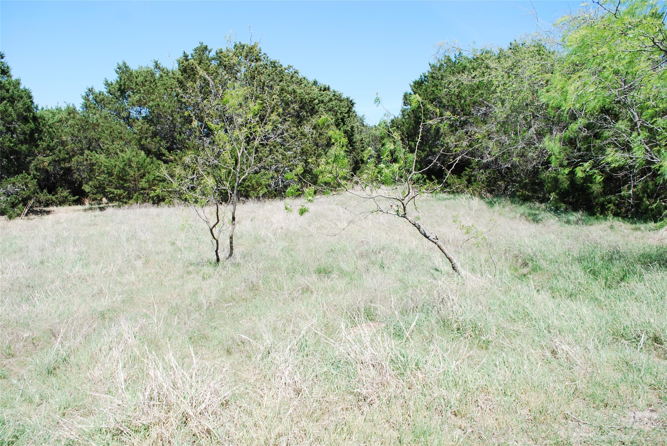 19016 Bluebonnet Drive Whitney TX 76692