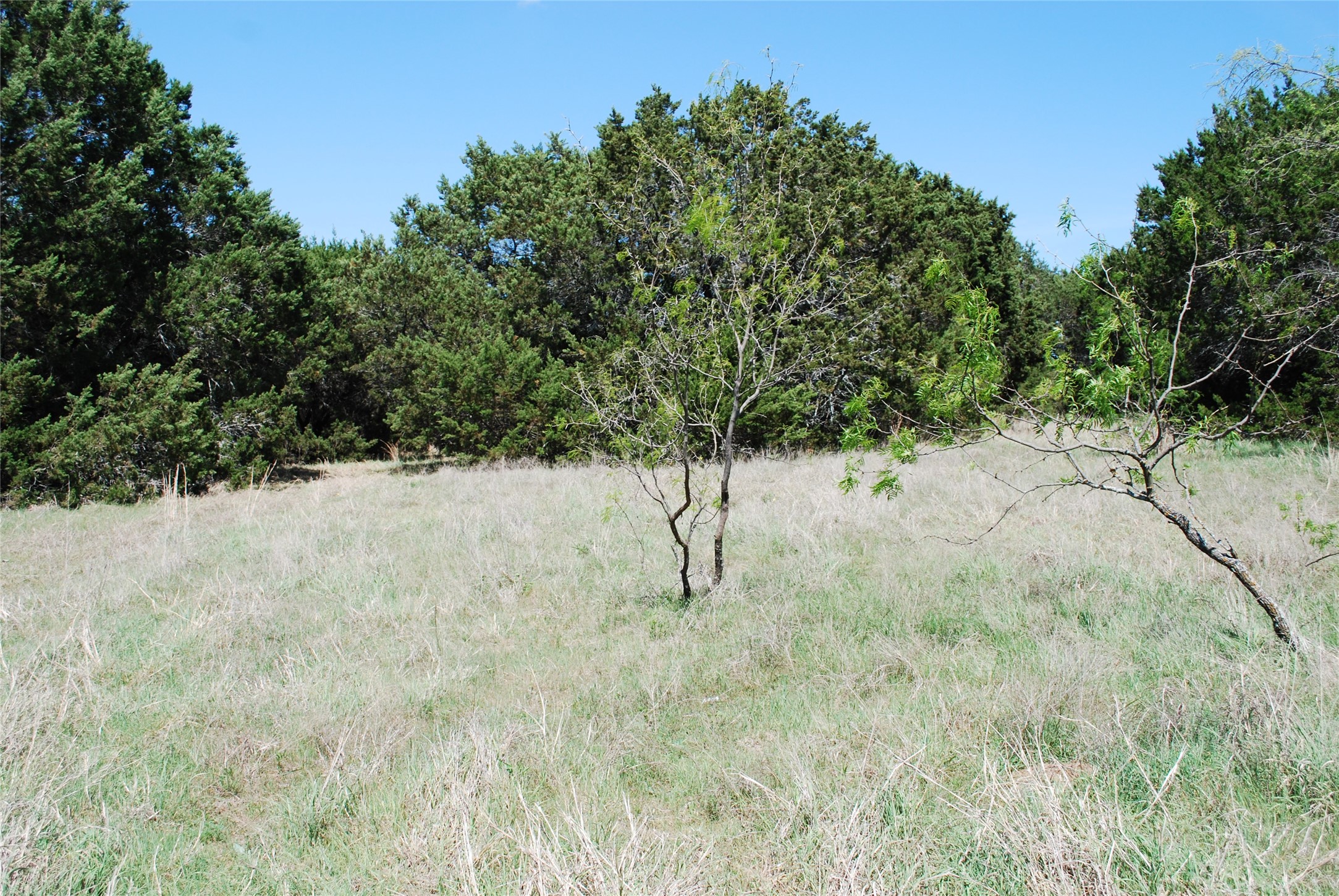 19016 Bluebonnet Drive Whitney TX 76692