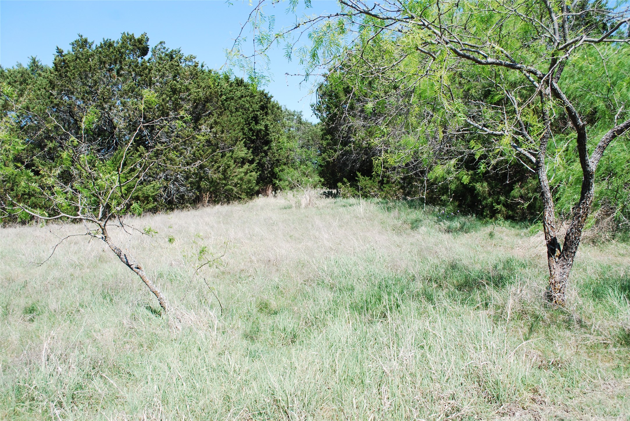 19016 Bluebonnet Drive Whitney TX 76692
