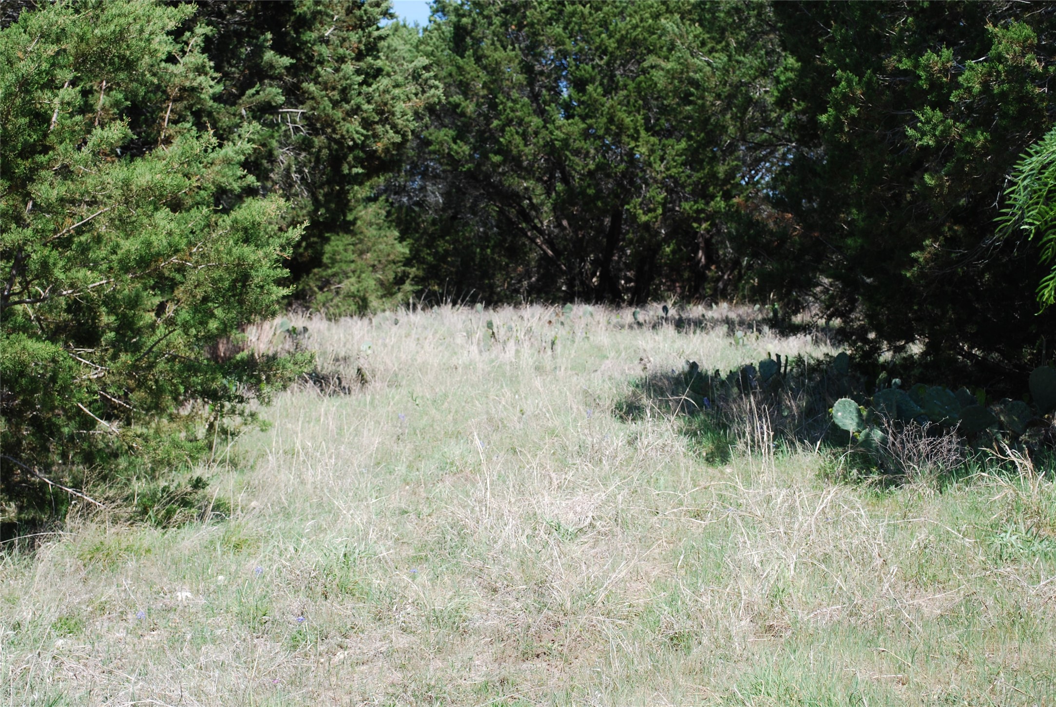 19016 Bluebonnet Drive Whitney TX 76692