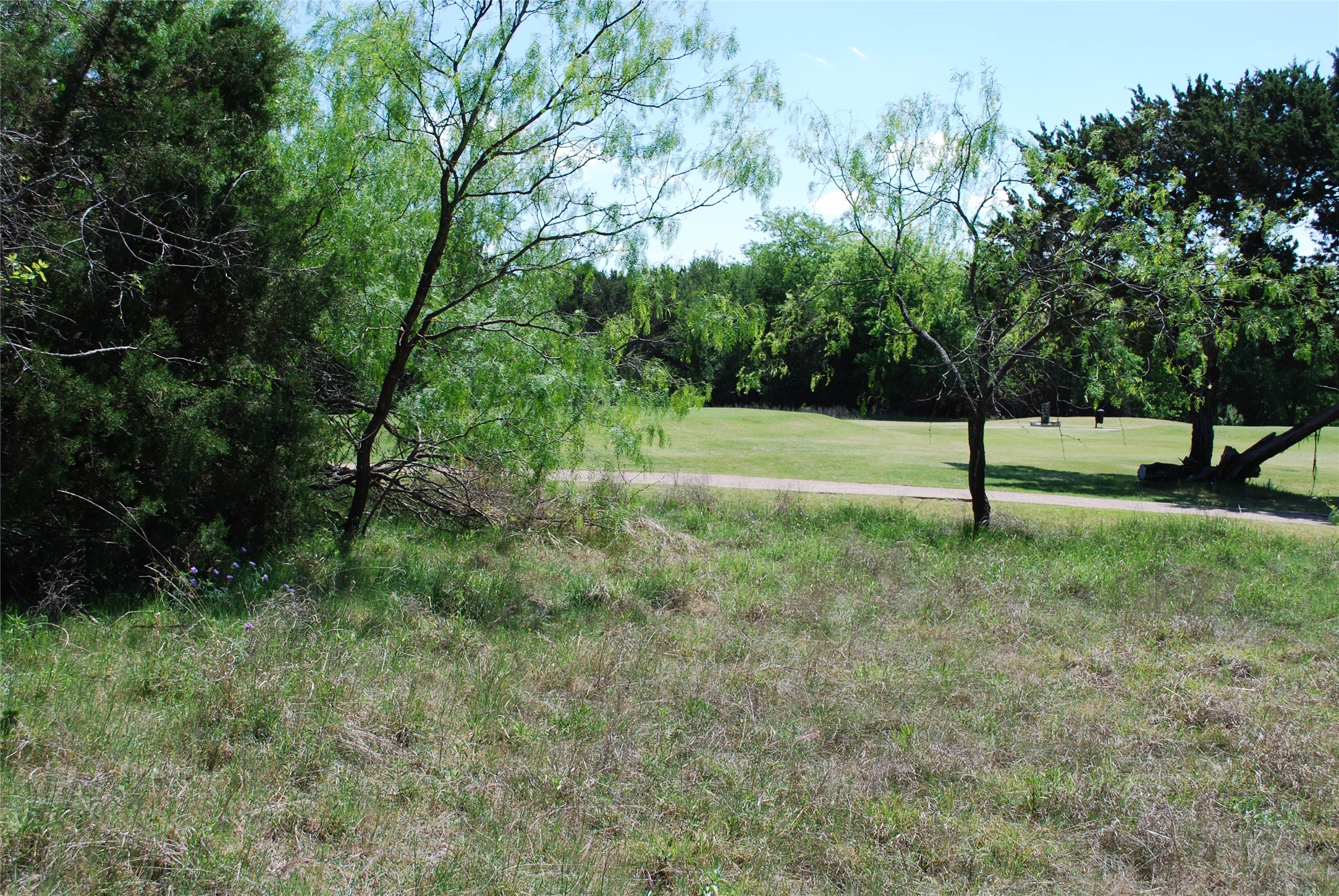 19016 Bluebonnet Drive Whitney TX 76692