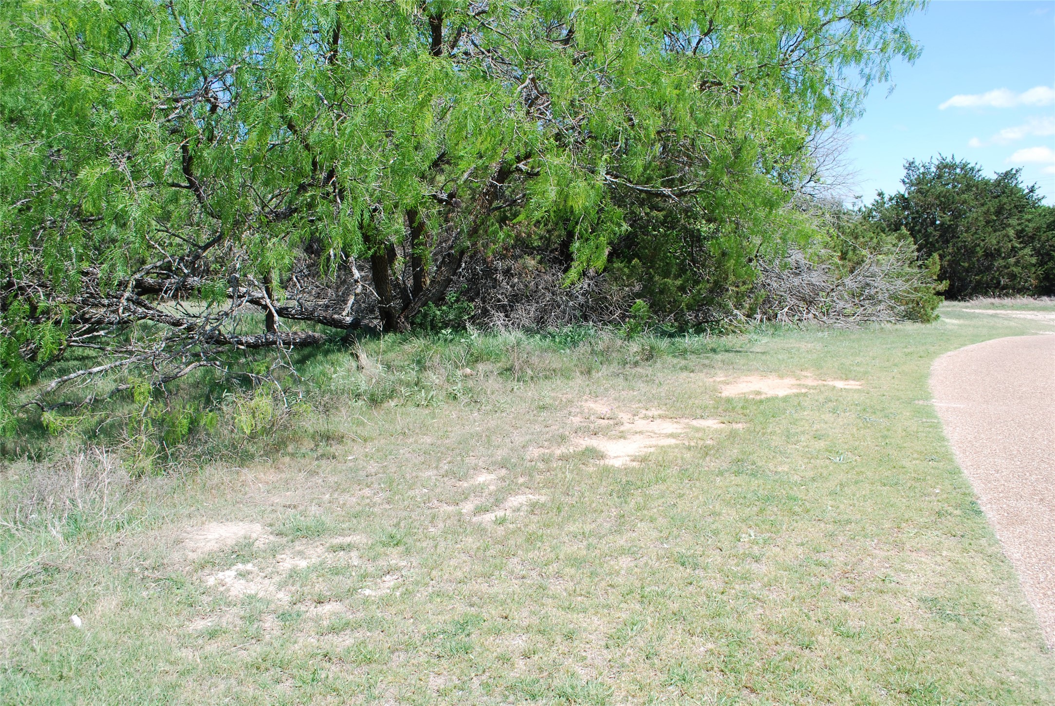 19016 Bluebonnet Drive Whitney TX 76692