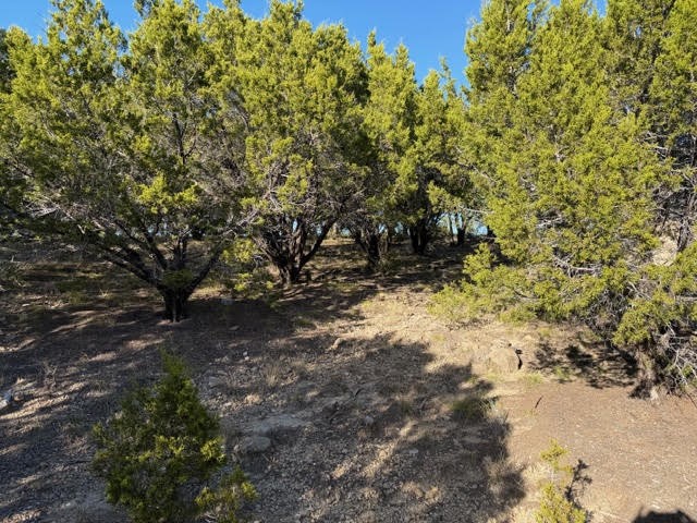Lot 599 Caprock Court Possum Kingdom Lake TX 76449